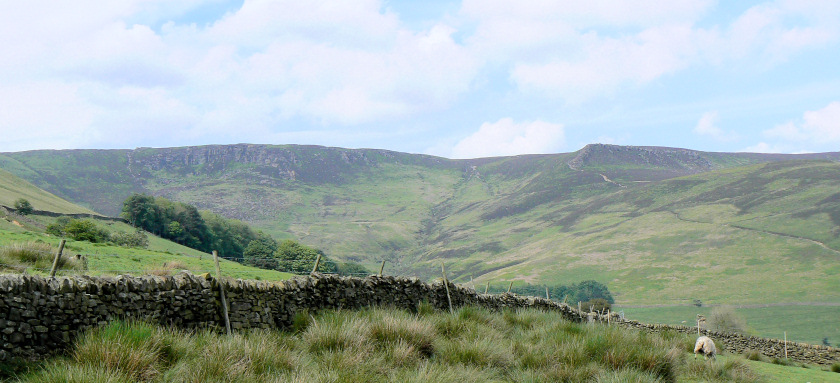 Nether Tor & Ringing Roger Nether Tor & Ringing Roger